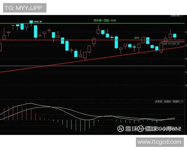 上海网球队防守策略分析及其对比赛结果的影响探讨