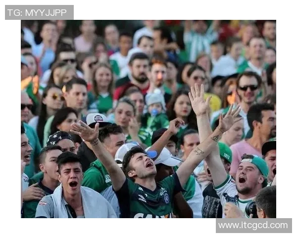 悲剧降临飞机失事夺走足球明星的生命与梦想