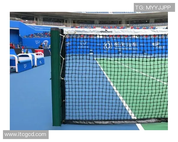 武汉网球队在联赛中的速度优势与战术解析