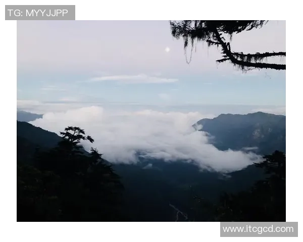 极限运动装备选购指南精选攀岩鞋推荐助你征服高峰 极限运动装备选购指南精选攀岩鞋推荐助你征服高峰