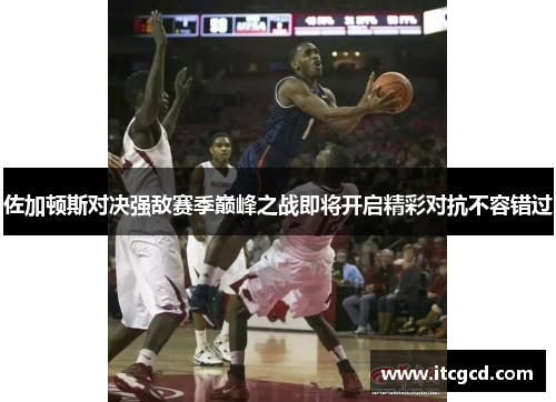 佐加顿斯对决强敌赛季巅峰之战即将开启精彩对抗不容错过