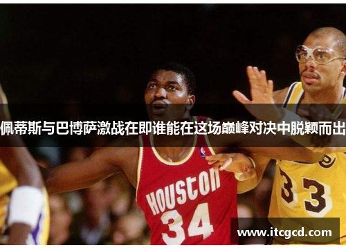 佩蒂斯与巴博萨激战在即谁能在这场巅峰对决中脱颖而出