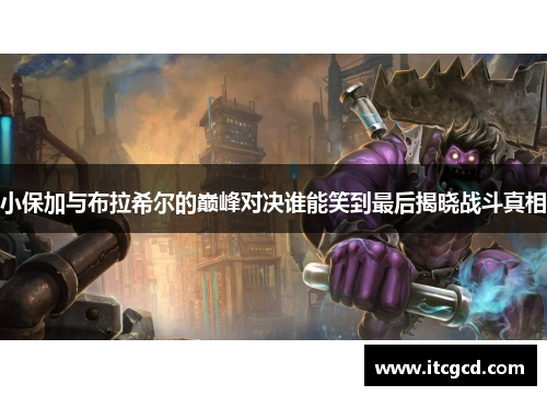 小保加与布拉希尔的巅峰对决谁能笑到最后揭晓战斗真相