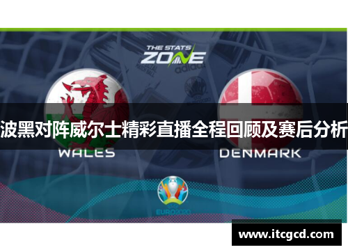 波黑对阵威尔士精彩直播全程回顾及赛后分析