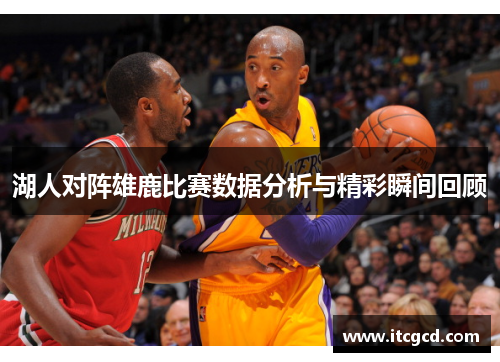 湖人对阵雄鹿比赛数据分析与精彩瞬间回顾