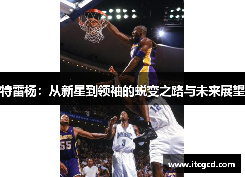 特雷杨：从新星到领袖的蜕变之路与未来展望