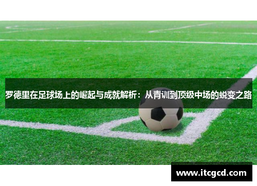 罗德里在足球场上的崛起与成就解析：从青训到顶级中场的蜕变之路